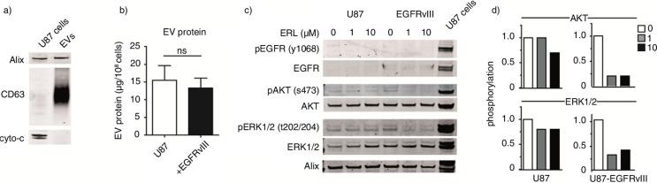 https://cdn.ncbi.nlm.nih.gov/pmc/blobs/463d/4261239/bd235c628e9a/JEV-3-25657-g003.jpg