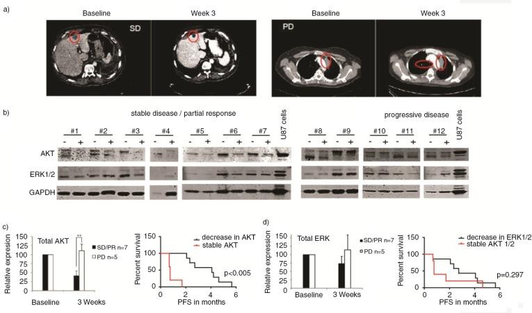 https://cdn.ncbi.nlm.nih.gov/pmc/blobs/463d/4261239/fd9b228e482e/JEV-3-25657-g006.jpg