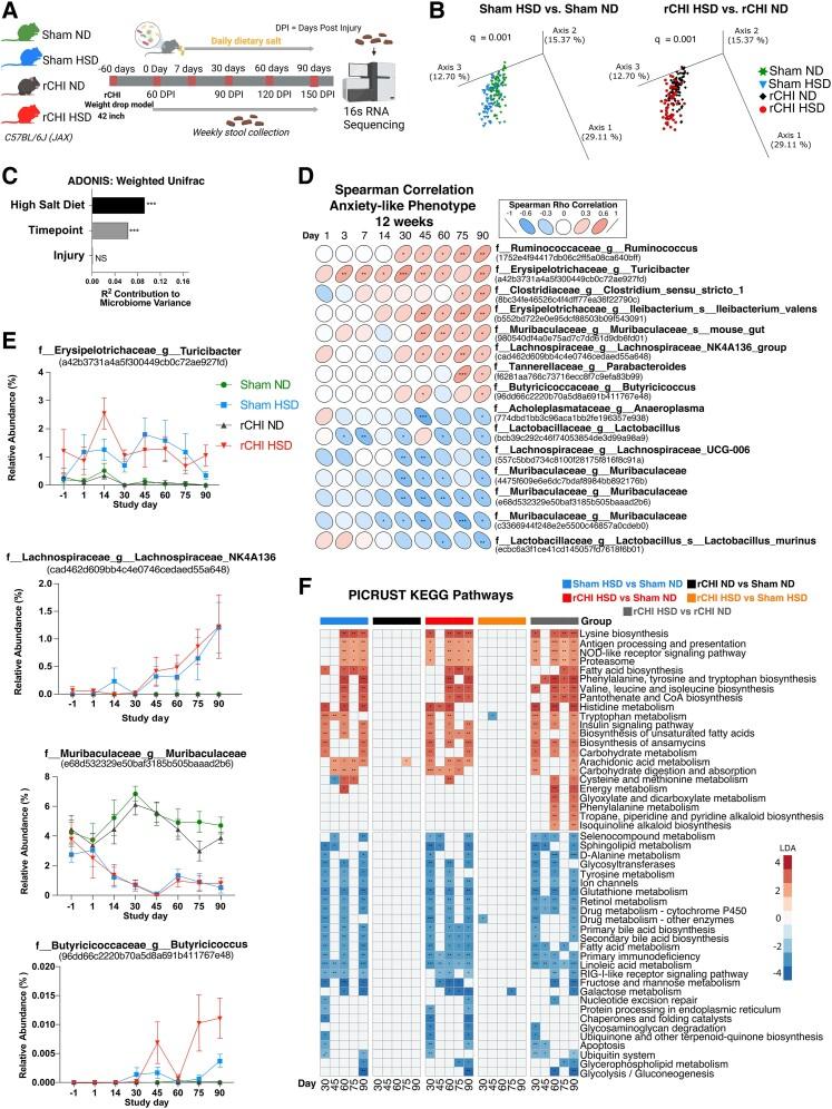 https://cdn.ncbi.nlm.nih.gov/pmc/blobs/463f/11264151/934044365bc4/fcae147f5.jpg