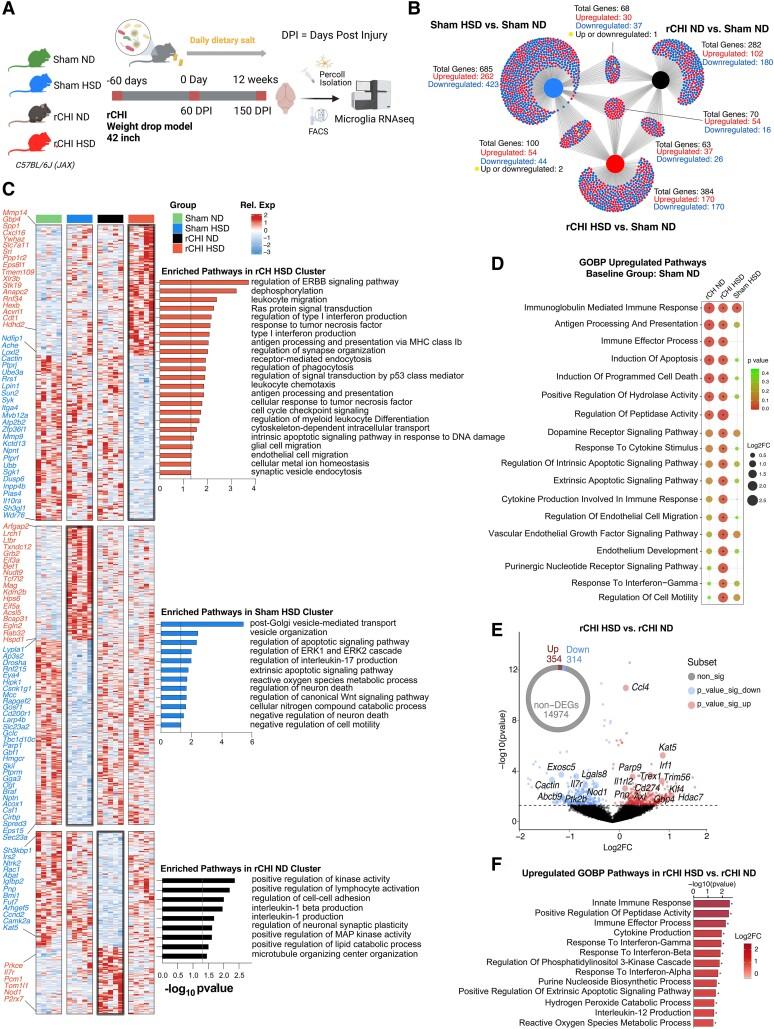 https://cdn.ncbi.nlm.nih.gov/pmc/blobs/463f/11264151/a5b55d178f36/fcae147f3.jpg