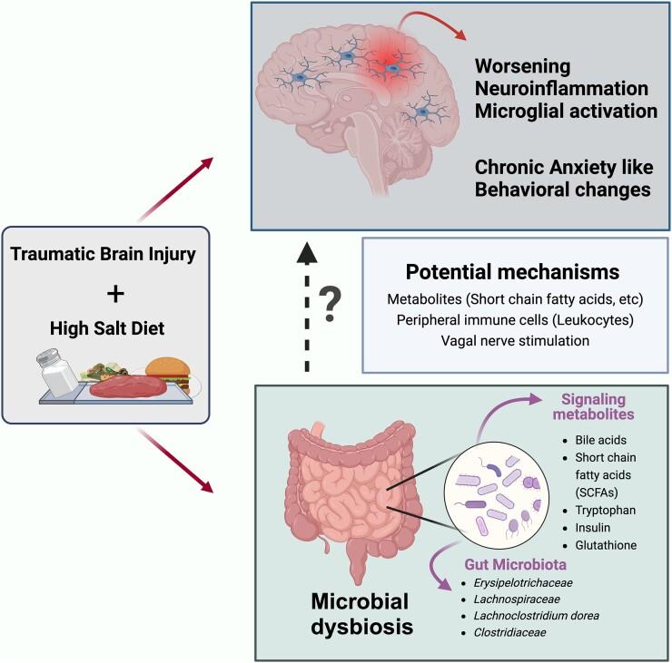 https://cdn.ncbi.nlm.nih.gov/pmc/blobs/463f/11264151/b7e33f67777e/fcae147_ga.jpg