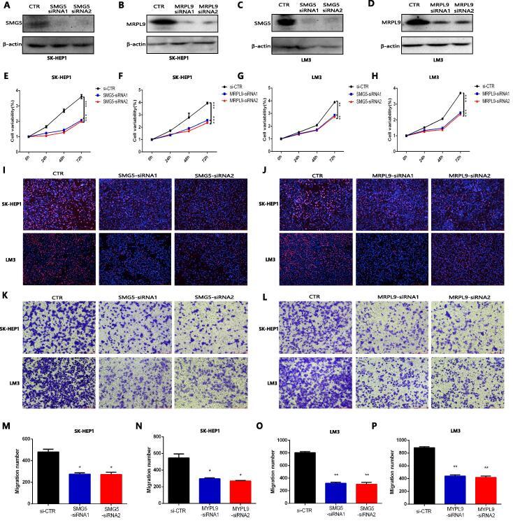 https://cdn.ncbi.nlm.nih.gov/pmc/blobs/4640/8463909/347eab1759ea/gr8.jpg