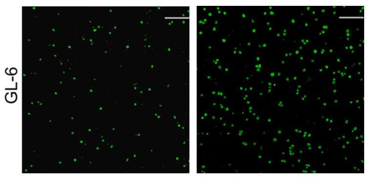 https://cdn.ncbi.nlm.nih.gov/pmc/blobs/4644/9182191/ddfdadcfb322/nanomaterials-12-01874-g007a.jpg