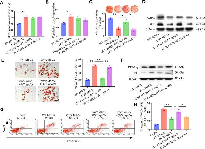 https://cdn.ncbi.nlm.nih.gov/pmc/blobs/4645/11414301/5df4805af02c/12951_2024_2829_Fig4_HTML.jpg