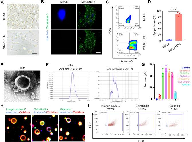 https://cdn.ncbi.nlm.nih.gov/pmc/blobs/4645/11414301/64fb96866049/12951_2024_2829_Fig1_HTML.jpg