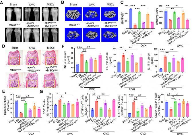 https://cdn.ncbi.nlm.nih.gov/pmc/blobs/4645/11414301/7742f8bb088b/12951_2024_2829_Fig2_HTML.jpg