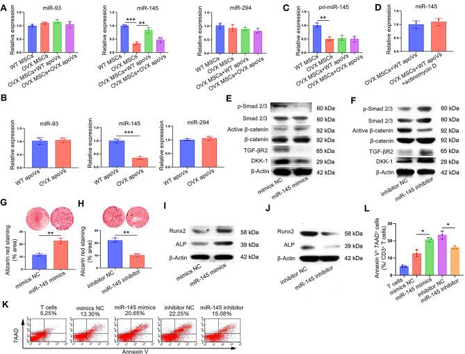 https://cdn.ncbi.nlm.nih.gov/pmc/blobs/4645/11414301/94b93fba2a16/12951_2024_2829_Fig6_HTML.jpg