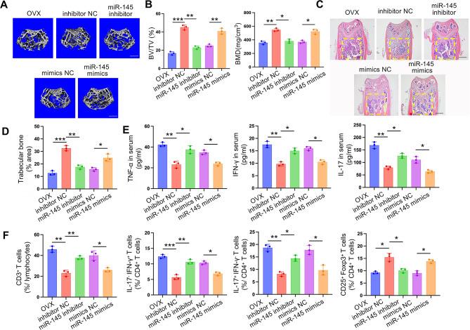https://cdn.ncbi.nlm.nih.gov/pmc/blobs/4645/11414301/b3b4effcfb6a/12951_2024_2829_Fig7_HTML.jpg