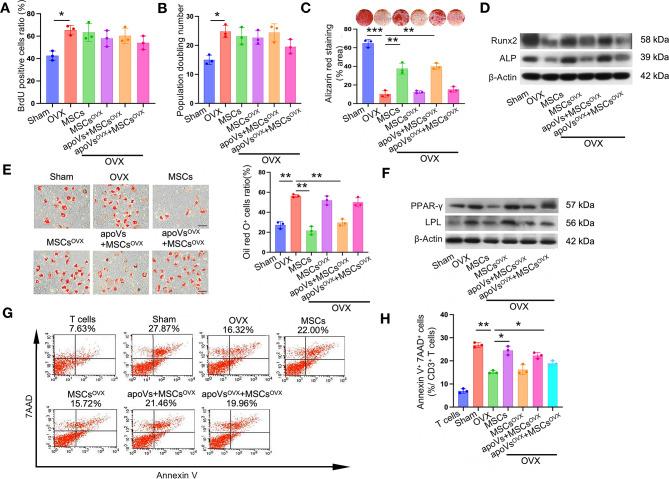 https://cdn.ncbi.nlm.nih.gov/pmc/blobs/4645/11414301/ba773d642866/12951_2024_2829_Fig3_HTML.jpg