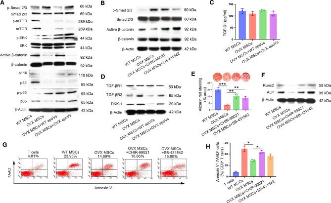 https://cdn.ncbi.nlm.nih.gov/pmc/blobs/4645/11414301/f4a88da8fdd9/12951_2024_2829_Fig5_HTML.jpg