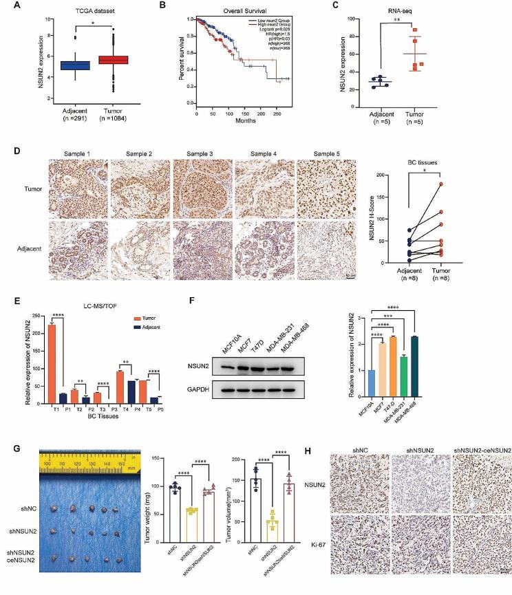 https://cdn.ncbi.nlm.nih.gov/pmc/blobs/4646/11155144/1237582343fd/13058_2024_1847_Fig1_HTML.jpg