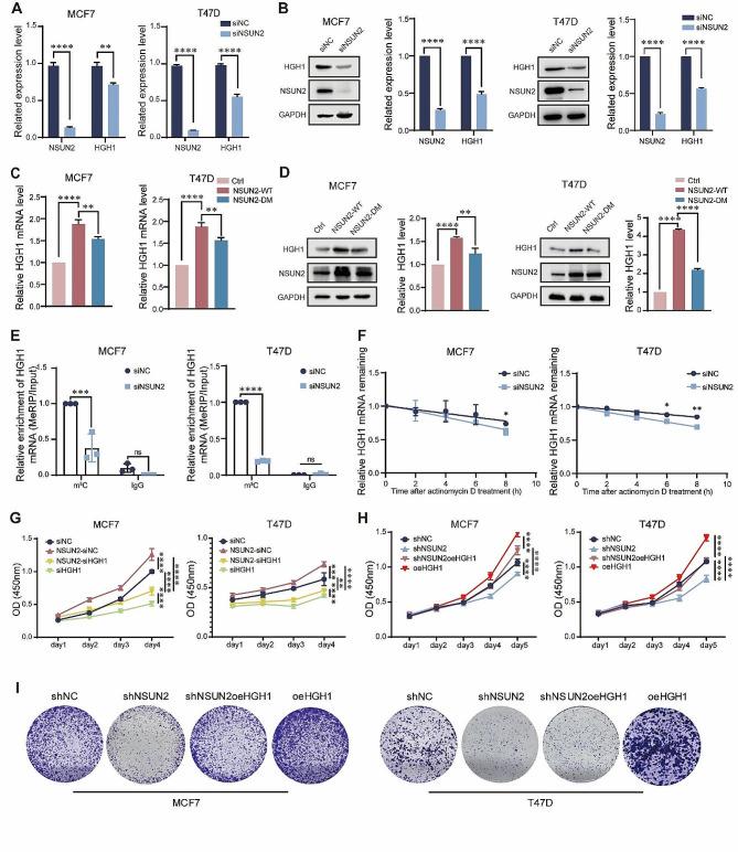 https://cdn.ncbi.nlm.nih.gov/pmc/blobs/4646/11155144/4448241f6dfd/13058_2024_1847_Fig6_HTML.jpg