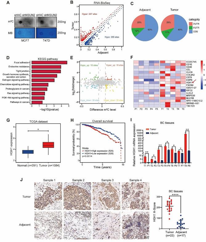https://cdn.ncbi.nlm.nih.gov/pmc/blobs/4646/11155144/6e7a47852f01/13058_2024_1847_Fig3_HTML.jpg