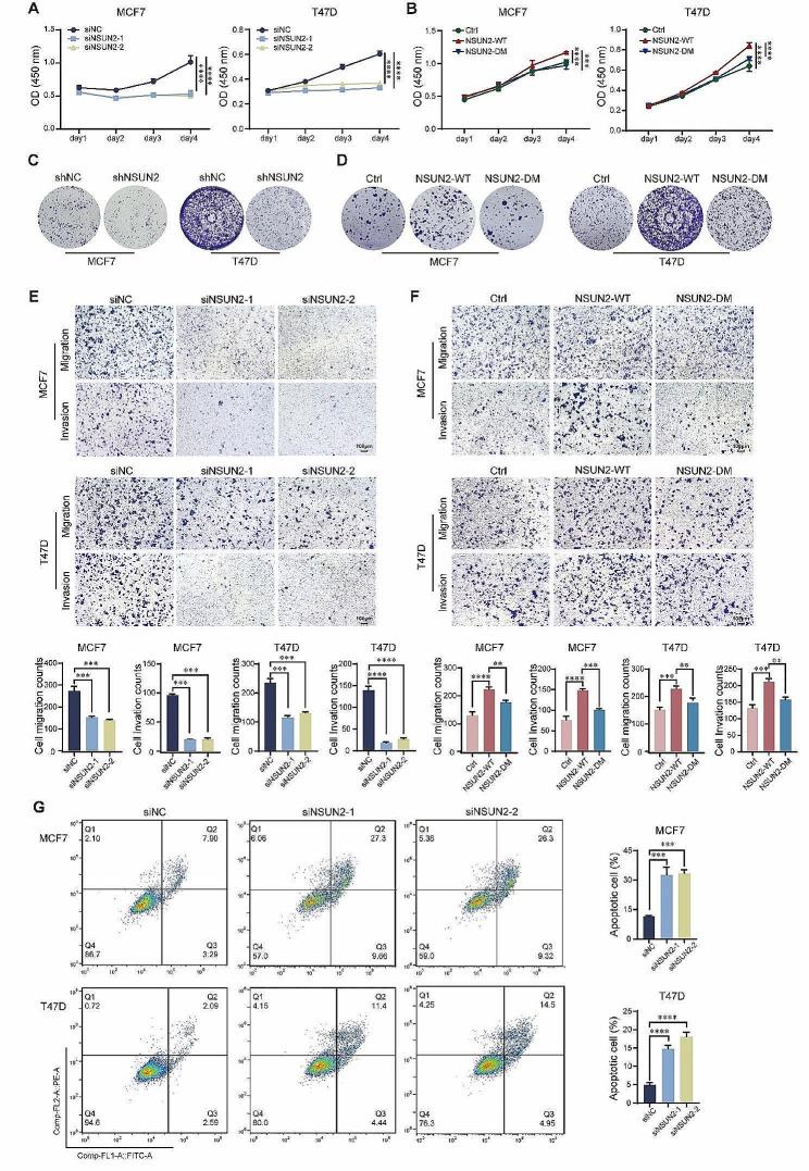 https://cdn.ncbi.nlm.nih.gov/pmc/blobs/4646/11155144/ac484774c4c9/13058_2024_1847_Fig2_HTML.jpg