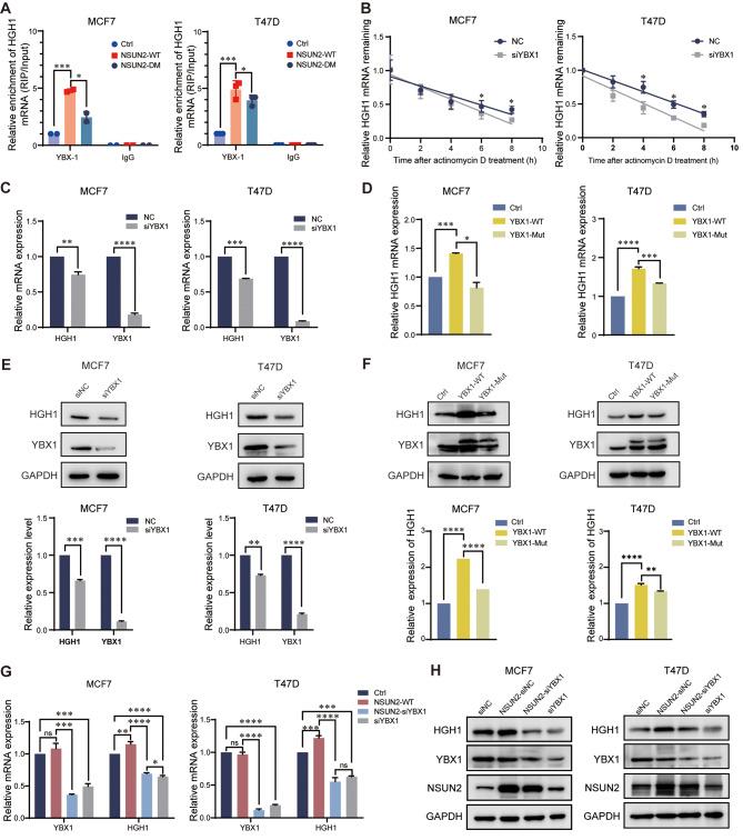 https://cdn.ncbi.nlm.nih.gov/pmc/blobs/4646/11155144/cee398148479/13058_2024_1847_Fig7_HTML.jpg