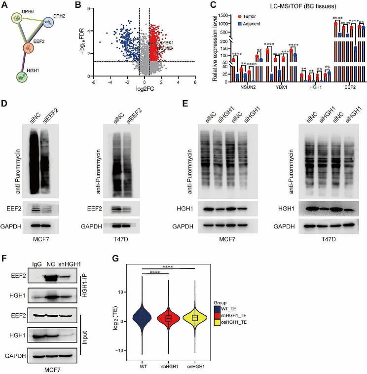 https://cdn.ncbi.nlm.nih.gov/pmc/blobs/4646/11155144/d8e2cf13e898/13058_2024_1847_Fig5_HTML.jpg