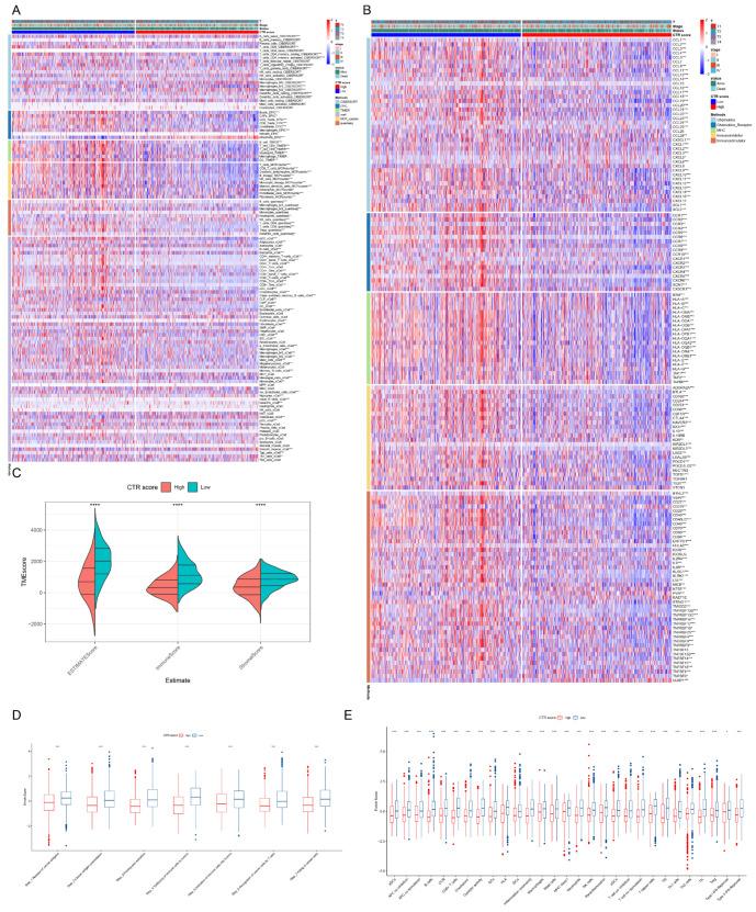 https://cdn.ncbi.nlm.nih.gov/pmc/blobs/4646/11353403/37265b2ab10a/genes-15-01093-g008.jpg
