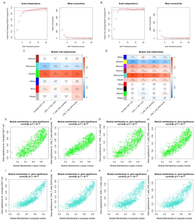 https://cdn.ncbi.nlm.nih.gov/pmc/blobs/4646/11353403/5eb298229766/genes-15-01093-g002.jpg