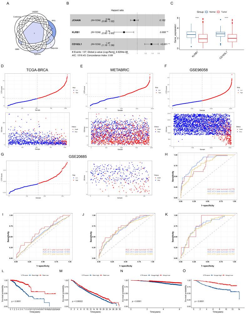 https://cdn.ncbi.nlm.nih.gov/pmc/blobs/4646/11353403/6851edbc2cd2/genes-15-01093-g004.jpg