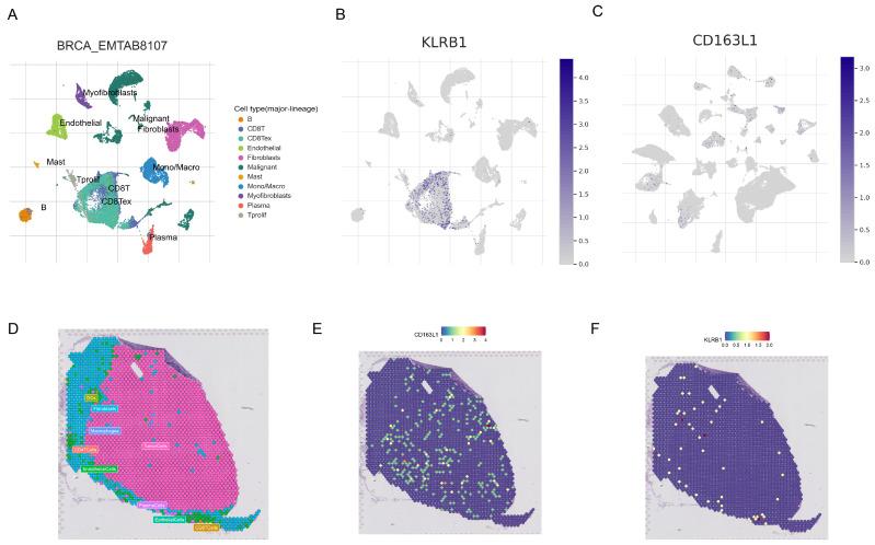 https://cdn.ncbi.nlm.nih.gov/pmc/blobs/4646/11353403/c514da579c82/genes-15-01093-g010.jpg
