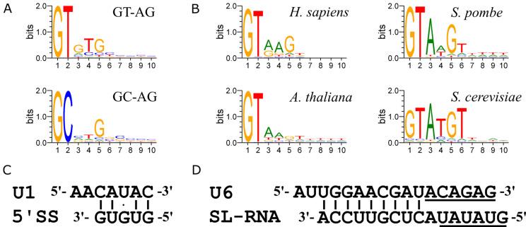 https://cdn.ncbi.nlm.nih.gov/pmc/blobs/4647/11170887/1d7a55c5d340/12864_2024_10495_Fig3_HTML.jpg