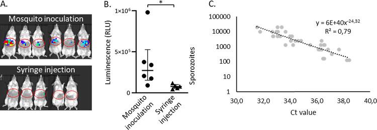 https://cdn.ncbi.nlm.nih.gov/pmc/blobs/4647/8546700/38422359a499/msphere.00218-21-f0002.jpg