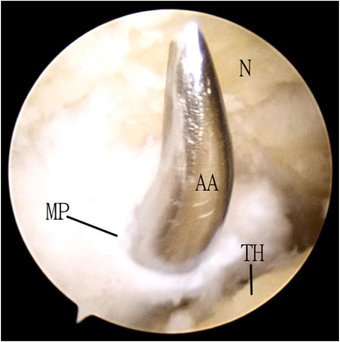 https://cdn.ncbi.nlm.nih.gov/pmc/blobs/4649/11369957/8cc0060ae9a0/gr8.jpg