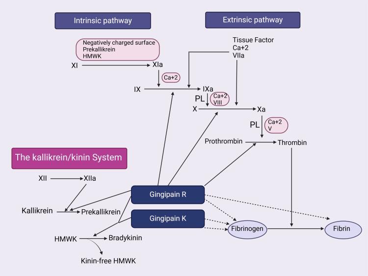 https://cdn.ncbi.nlm.nih.gov/pmc/blobs/4649/11910667/786971649c58/cureus-0017-00000080636-i05.jpg