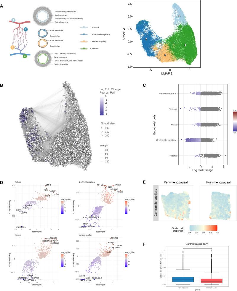 https://cdn.ncbi.nlm.nih.gov/pmc/blobs/464a/10830479/3d90cf2d26d3/41467_2024_45143_Fig2_HTML.jpg