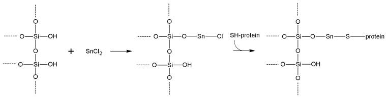 https://cdn.ncbi.nlm.nih.gov/pmc/blobs/464a/6272024/43aeb8a14e99/molecules-19-14139-g017.jpg