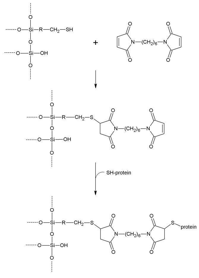 https://cdn.ncbi.nlm.nih.gov/pmc/blobs/464a/6272024/608f2ce87420/molecules-19-14139-g026.jpg