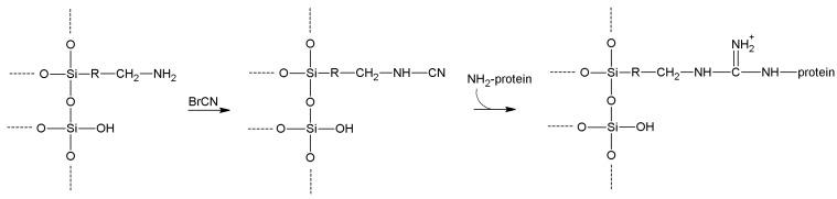 https://cdn.ncbi.nlm.nih.gov/pmc/blobs/464a/6272024/8fceb9bbab76/molecules-19-14139-g012.jpg