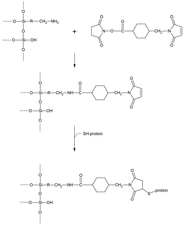 https://cdn.ncbi.nlm.nih.gov/pmc/blobs/464a/6272024/9ba32b4a06bb/molecules-19-14139-g023.jpg