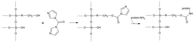 https://cdn.ncbi.nlm.nih.gov/pmc/blobs/464a/6272024/aceaa387902e/molecules-19-14139-g027.jpg
