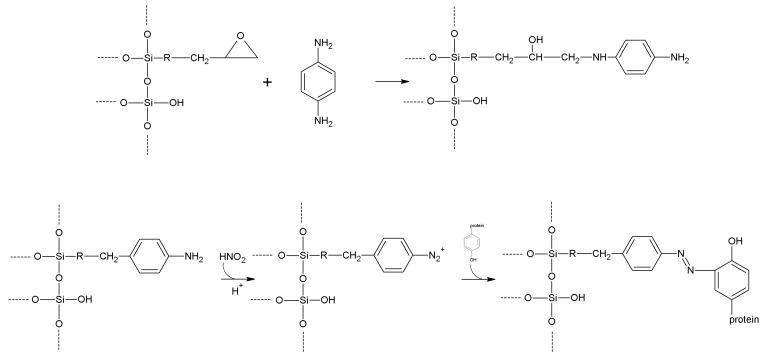 https://cdn.ncbi.nlm.nih.gov/pmc/blobs/464a/6272024/b2876ef95837/molecules-19-14139-g028.jpg