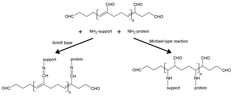 https://cdn.ncbi.nlm.nih.gov/pmc/blobs/464a/6272024/f72a2a4a8ce3/molecules-19-14139-g018.jpg