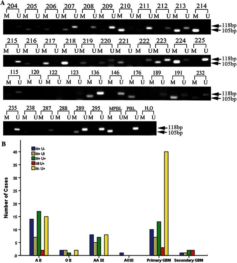 https://cdn.ncbi.nlm.nih.gov/pmc/blobs/464b/4781890/7c27792b3f68/11060_2015_2039_Fig1_HTML.jpg