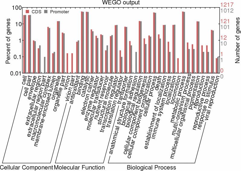 https://cdn.ncbi.nlm.nih.gov/pmc/blobs/464d/12008987/382d4fd0ebd1/12864_2025_11584_Fig5_HTML.jpg