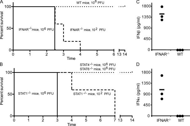 https://cdn.ncbi.nlm.nih.gov/pmc/blobs/4650/2822618/34a5e4a74074/JEM_20090851_LW_Fig2.jpg