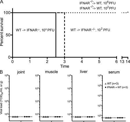 https://cdn.ncbi.nlm.nih.gov/pmc/blobs/4650/2822618/70897a7236ac/JEM_20090851_LW_Fig8.jpg