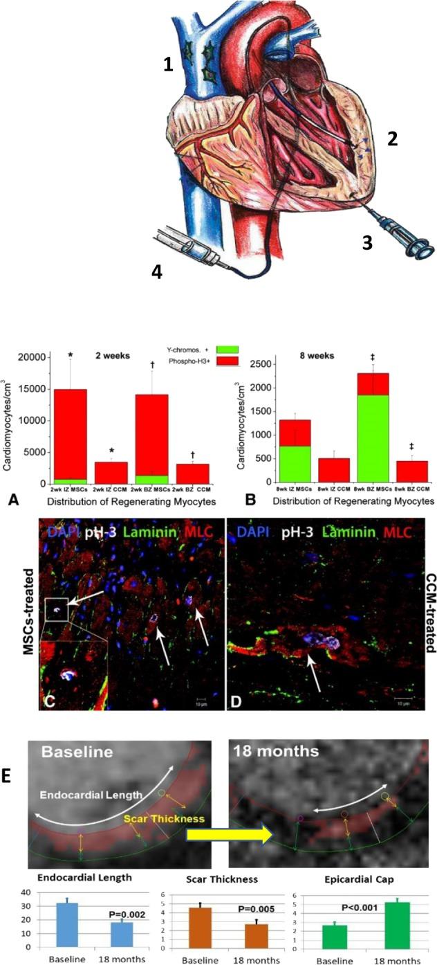 https://cdn.ncbi.nlm.nih.gov/pmc/blobs/4651/6889290/13b69ef76503/41536_2019_83_Fig4_HTML.jpg