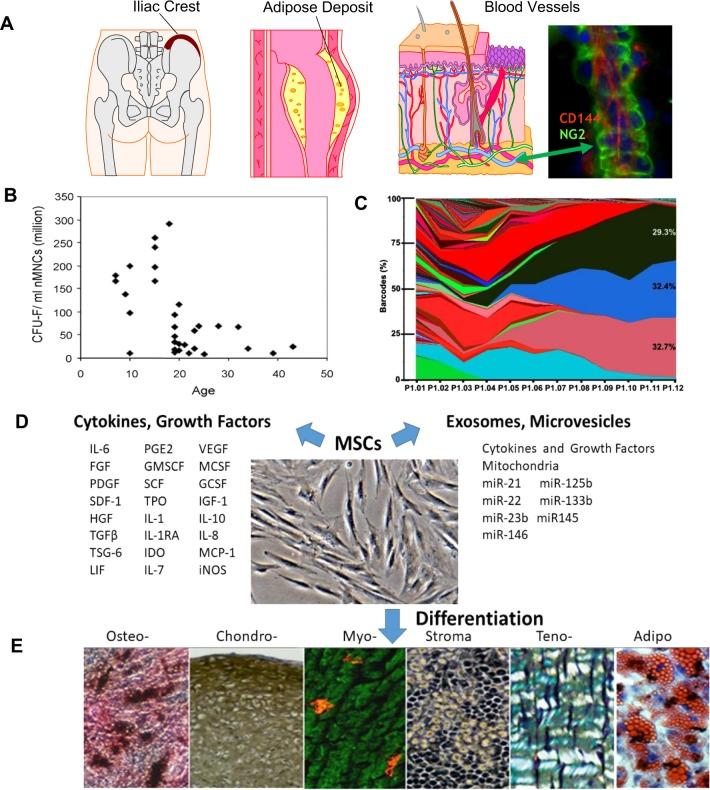 https://cdn.ncbi.nlm.nih.gov/pmc/blobs/4651/6889290/3ed0cbab13d5/41536_2019_83_Fig1_HTML.jpg
