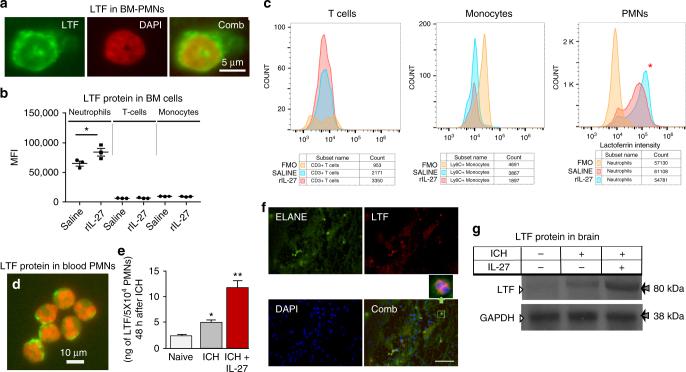 https://cdn.ncbi.nlm.nih.gov/pmc/blobs/4654/5605643/0e80162664e2/41467_2017_770_Fig5_HTML.jpg