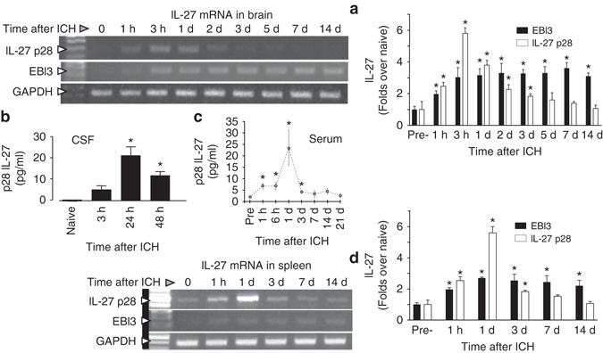 https://cdn.ncbi.nlm.nih.gov/pmc/blobs/4654/5605643/531a07dee8c4/41467_2017_770_Fig1_HTML.jpg