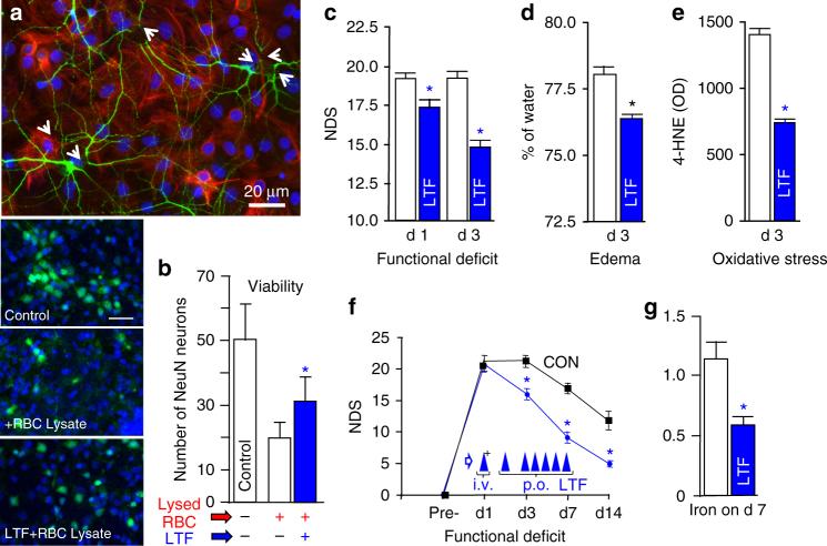 https://cdn.ncbi.nlm.nih.gov/pmc/blobs/4654/5605643/d571a143da54/41467_2017_770_Fig6_HTML.jpg