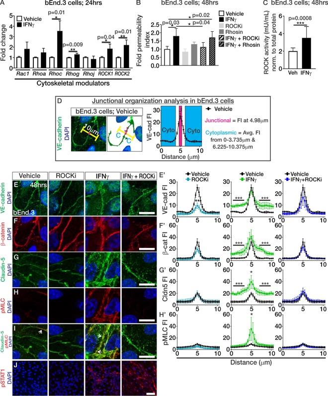 https://cdn.ncbi.nlm.nih.gov/pmc/blobs/4655/6686045/dcce4e819dcd/mBio.01675-19-f0007.jpg