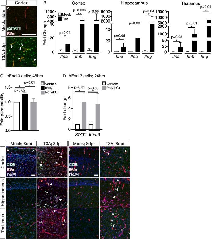 https://cdn.ncbi.nlm.nih.gov/pmc/blobs/4655/6686045/f11dad19b241/mBio.01675-19-f0003.jpg