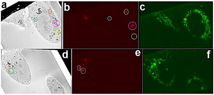 https://cdn.ncbi.nlm.nih.gov/pmc/blobs/4655/7822478/deabd6bc514b/nanomaterials-11-00014-g003.jpg