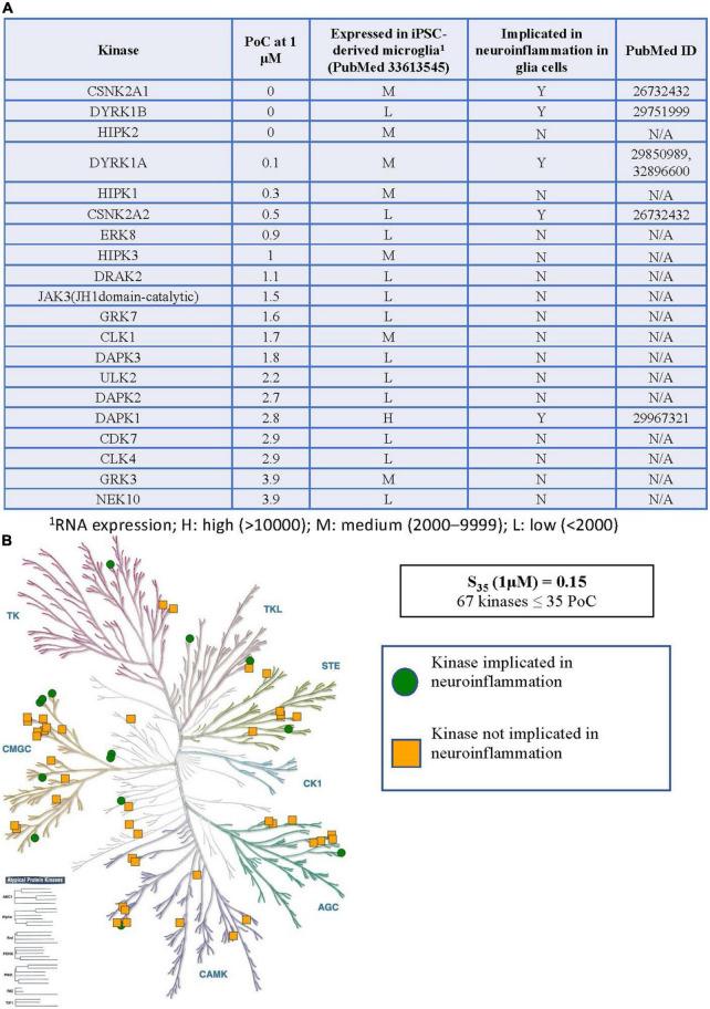 https://cdn.ncbi.nlm.nih.gov/pmc/blobs/4658/9239073/087663d1ee6b/fnmol-15-824956-g003.jpg