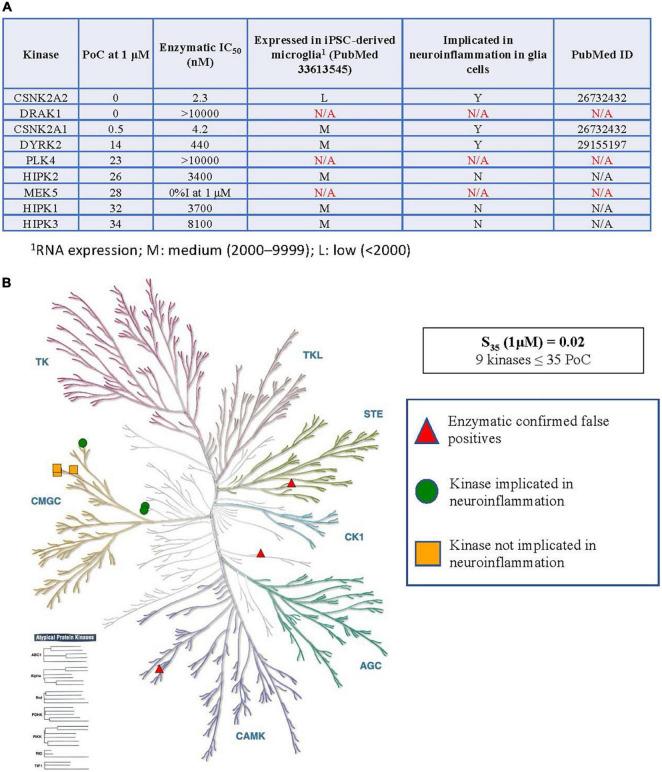 https://cdn.ncbi.nlm.nih.gov/pmc/blobs/4658/9239073/3c6c6dbcbb0c/fnmol-15-824956-g002.jpg